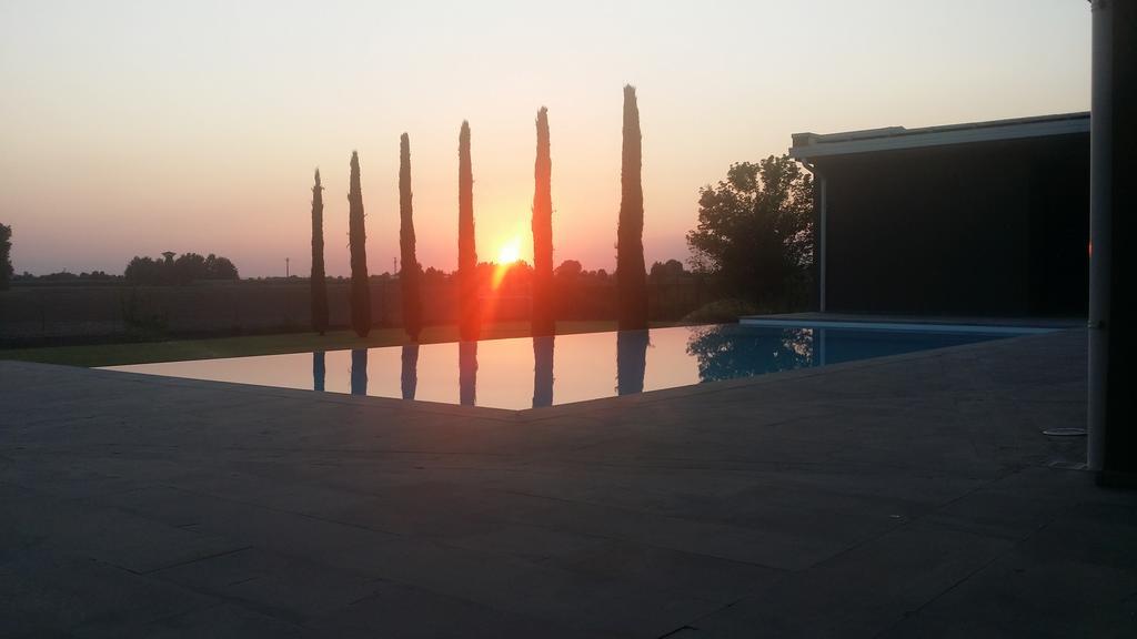 Guest House Località Sorbara Asola Esterno foto